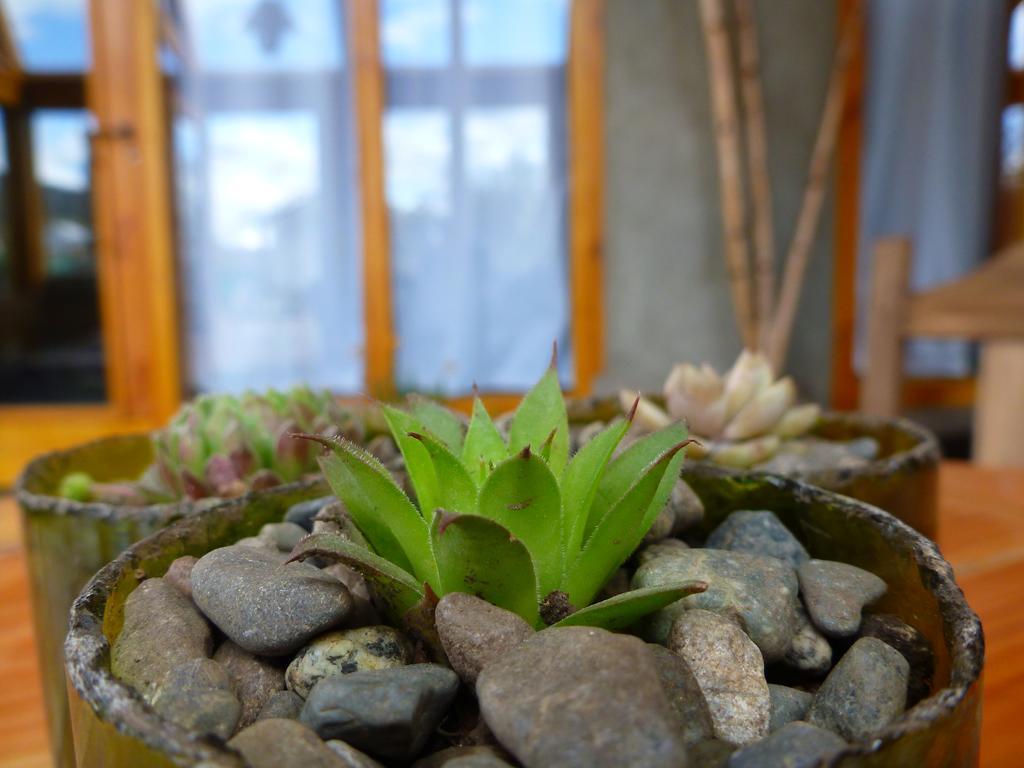 Earthship Patagonia Eco Accommodations El Bolson Luaran gambar