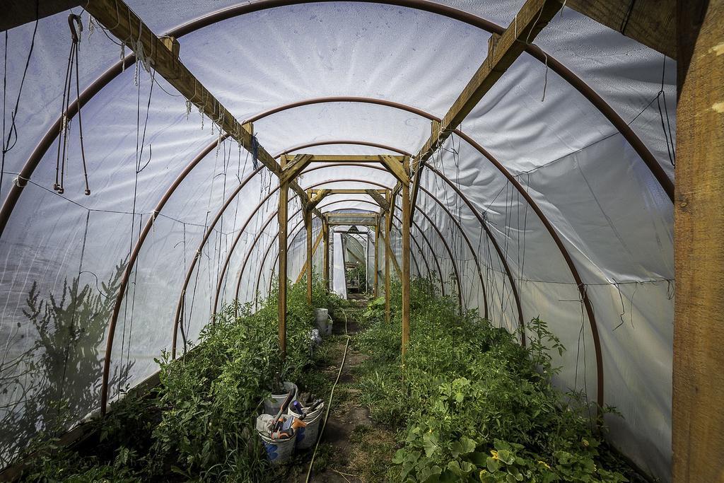 Earthship Patagonia Eco Accommodations El Bolson Luaran gambar